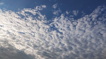 IMG_20250731_065042.jpg