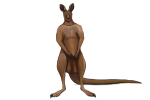 1754076507378.png