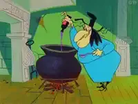 witch-hazel.webp