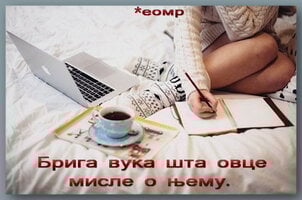 брига вука.jpg