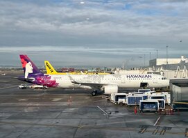 IMG_2048.jpeg