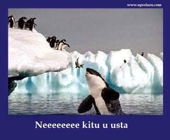 Ne kitu u usta.jpg