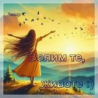 Vtzk.webp