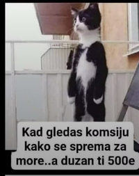 1754851642980.png