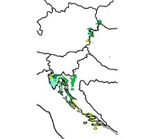 01-1 (1).jpg