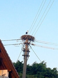 20250813_201022.jpg