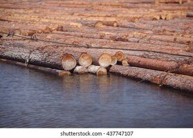 logs-floating-on-river-siberia-260nw-437747107.jpg