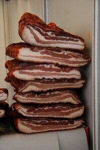 Pila_Bacon.jpg
