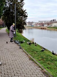 IMG_20241217_121054~2.jpg