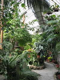 holiday2 520.JPG