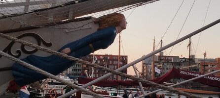 IMG_20250820_205453.jpg