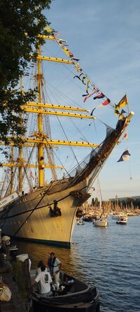 IMG_20250820_201741.jpg