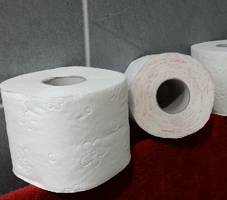 toalet_papir_100315_tw1024.png
