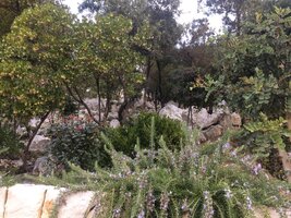 IMG_20230605_162446.jpg