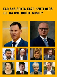 Žuti ološ.png