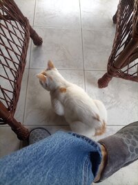 IMG_20250824_123259.jpg