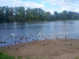 IMG_20250824_171028598.jpg