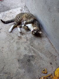2025_07_08.jpg