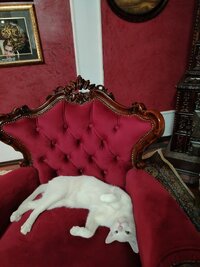IMG_20240905_212555.jpg