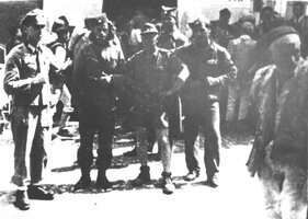 Cetnici-i-Nemci-za-vreme-Pete-neprijateljske-ofanzive-u-Hercegovini-1943-670x478 (1).jpg