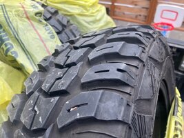 IMG_2278.jpeg