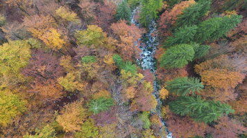 DJI_0244.JPG