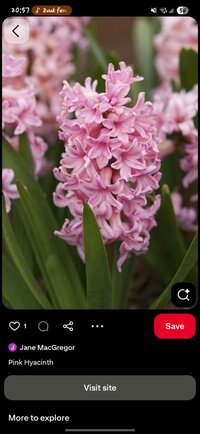 Screenshot_20250902_205731_Pinterest.jpg
