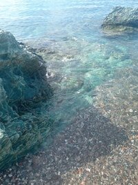 IMG_20250903_093442.jpg