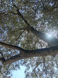IMG_20250902_135320.jpg