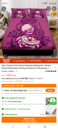 Screenshot_20250904-224108.Temu.png