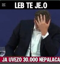 1000038288.jpg
