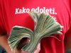 kako odoleti.JPG