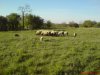 DSC00599.JPG