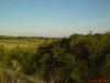 DSC00607.JPG