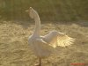 DSC00819.JPG
