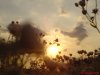 DSC00675.JPG