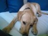 DSC00112.jpg