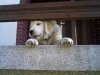 Photo-0008Ajt.jpg