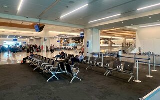 IMG_2427.jpeg