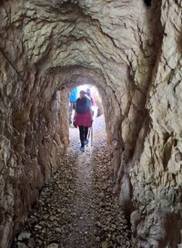 tunel.jpg