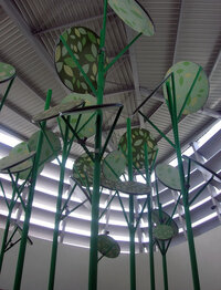 DSCN4426.jpg
