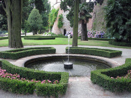 IMG_7135.jpg