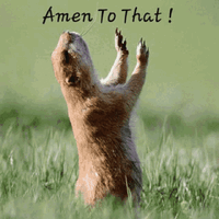 1000041670.gif