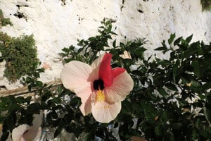 IMG_2624.JPG