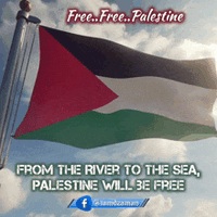 palestine-palestine-flag.gif