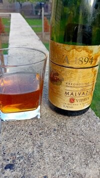 IMG20250929171006.jpg