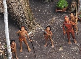 Amazon (1).jpg