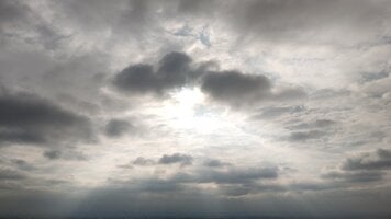 IMG_20251012_092442.jpg
