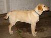 DSC03115.jpg