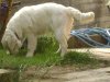 DSC00793.jpg